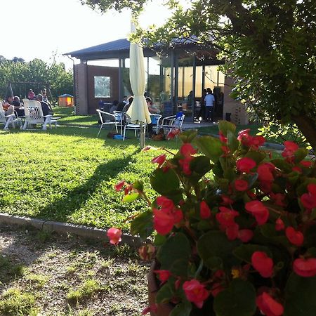 Agriturismo Accipicchia Ancona Dış mekan fotoğraf