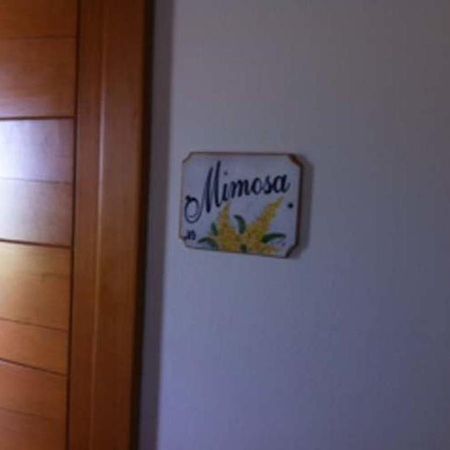 Agriturismo Accipicchia Ancona Oda fotoğraf
