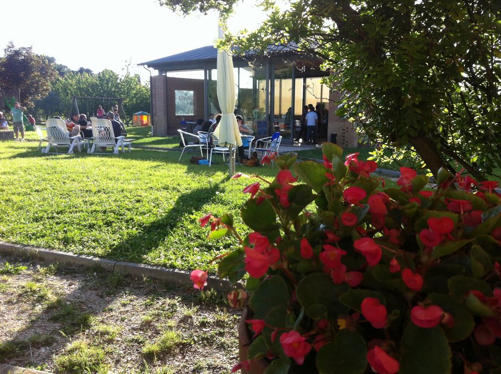 Agriturismo Accipicchia Ancona Dış mekan fotoğraf